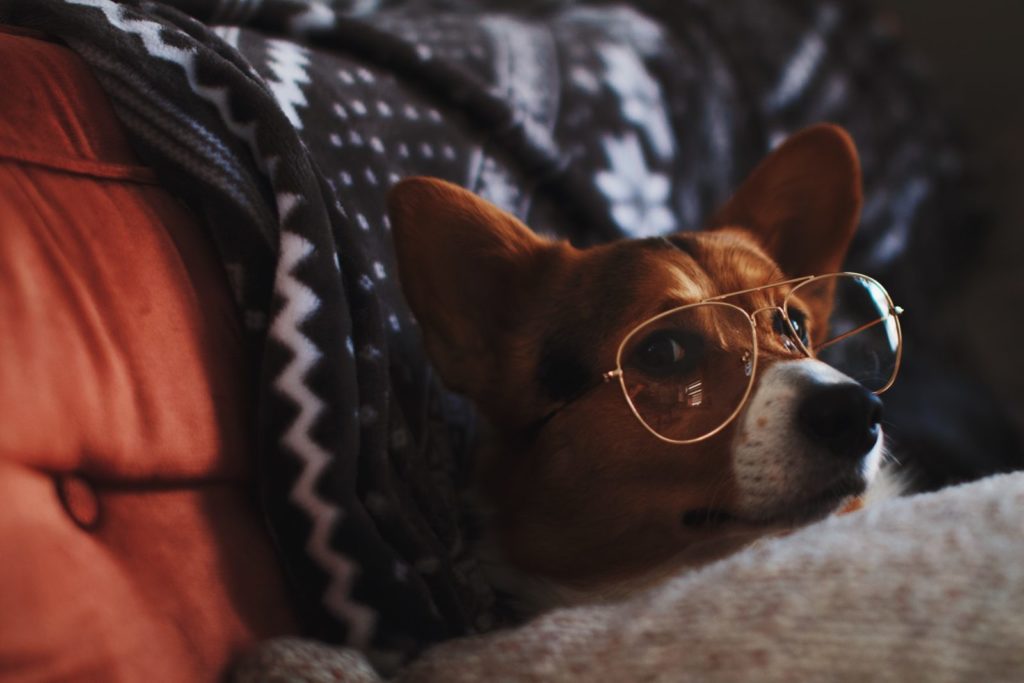 brianna santellan 628317 unsplash