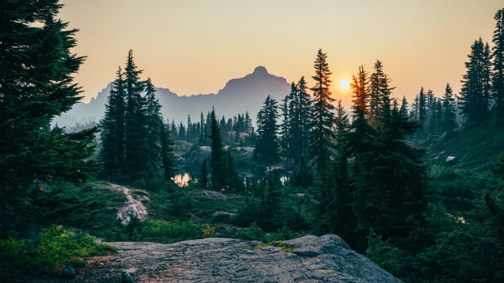 sergei akulich 457851 unsplash
